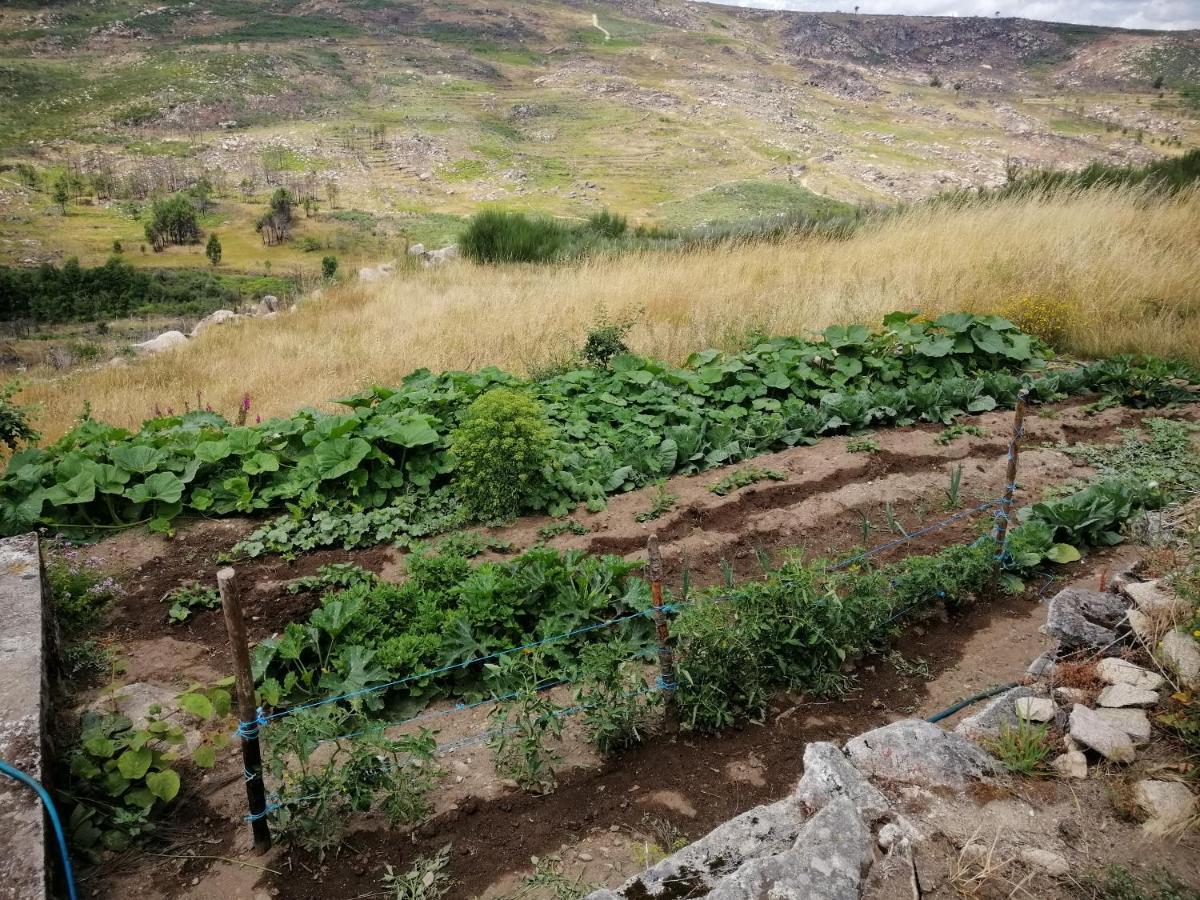 Willa Quinta Do Chaozinho Alijó Zewnętrze zdjęcie